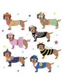 Magnetinis žaidimas, Aprenk naminius gyvūnėlius