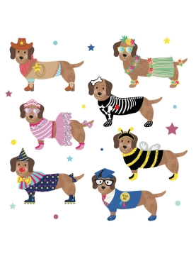 Magnetinis žaidimas, Aprenk naminius gyvūnėlius