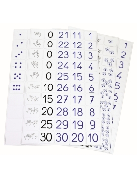 SEPP magnetiniai skaičiai, 3-5 metai