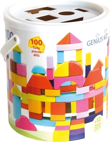 Spalvotos medinės kaladėlės, 12 mėn+, 100 vnt