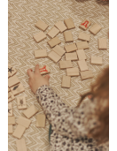 Igroteco žaidimas, Mahjong, 49 det.