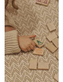 Igroteco žaidimas, Mahjong, 49 det.
