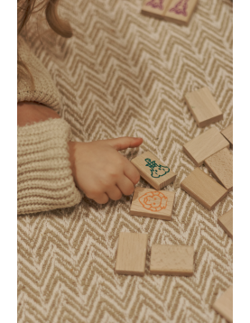 Igroteco žaidimas, Mahjong, 49 det.