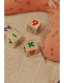 Igroteco žaidimas, Matematinės kaladėlės, 2+ Igroteco žaidimas, Matematinės kaladėlės, 2+