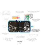 Jaq Jaq Bird piešimo knyga su netepančiomis kreidelėmis, Vienaragis
