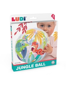 LUDI pripučiamas kamuolys