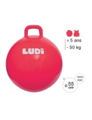 LUDI šokinėjimo kamuolys, raudonas 55 cm LUDI šokinėjimo kamuolys, raudonas 55 cm