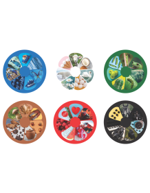 Lavinanti dėlionė COLOURS, 3-6 metų vaikams