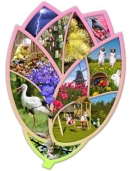 Lavinanti maxi dėlionė SEASONS (Anglų kalba), 3-6 metų vaikams