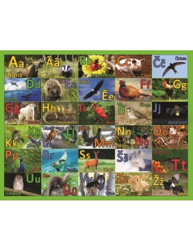 Lavinanti dėlionė ABĖCĖLĖ gyvūnai LATVIŲ KALBA, 2+