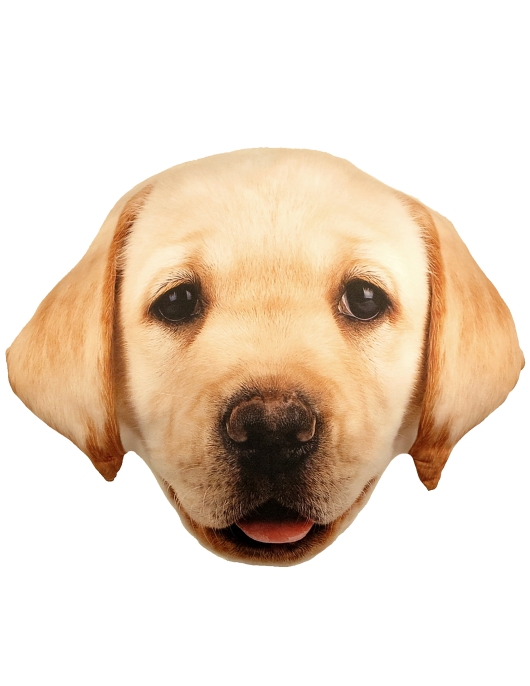 Splat Planet pagalvėlė-suvenyras LABRADORAS