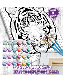 Splat Planet tapyba pagal skaičius, TIGRAS 30x40 cm