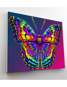 Splat Planet tapyba pagal skaičius, DRUGELIS 30x40 cm