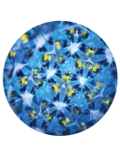 Svoora kaleidoskopas su tūbele, Mėlyni raštai, 10 cm